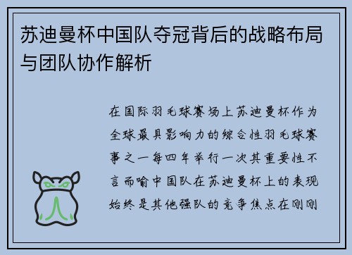苏迪曼杯中国队夺冠背后的战略布局与团队协作解析